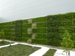 緑化工事（壁面緑化・屋上緑化）