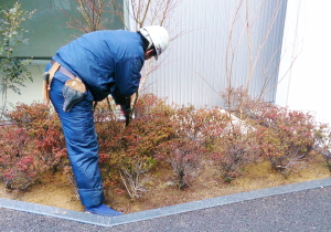 自動灌水システムの修理・交換点検や 緑化後のお手入れなどメンテナンス