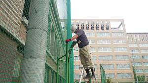 定期メンテナンスでは、自動灌水設備自体・防水層や排水溝などの点検管理、植栽物の管理の管理などを行います。