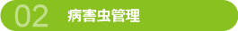 病害虫管理 病害虫の発生を防ぐため、薬剤散布の散布が必要な場合もあります。 また、あらかじめ病害虫が発生しにくい植栽選びもポイントです。