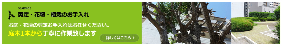 お庭・花壇の剪定お手入れはお任せください。 庭木1本から丁寧に作業致します