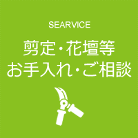庭木や花壇等の剪定、お手入れ。植栽に関するご相談や育て方・植え替えまで庭木1本からお気軽に！