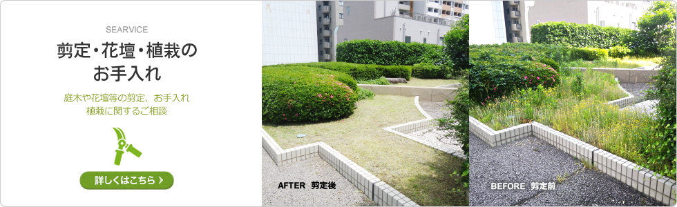 剪定・花壇・植栽のお手入れ｜事業案内