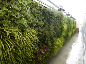 壁面緑化や屋上緑化を自動灌水にすることで水遣りしにくい場所も安定して水遣りすることできます。 また、使用する植物にや地形に合わせた自動灌水は枯れにくく、長く美しく保つことができます。