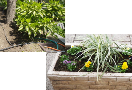 一般のご家庭での自動灌水設備の施工｜・猛暑の夏や留守の時にも安心！年間通して水やりの手間か省けます。 ・無駄な水を使わず、コスト削減 ・水やりしにくい場所も楽々！